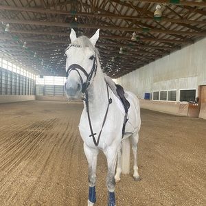 Meet your Posher, Mya